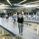Illustration for article titled Johnnie To’si Office /itwists corporate intrigue into an inspired musical